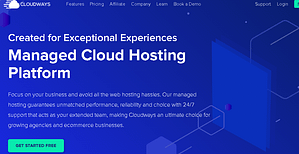 Cloudways Website Hosting Services